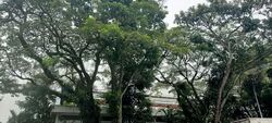 Tuas Road (D22), Warehouse #587553951